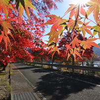 TAMRON(タムロン)のレンズ SP 15-30mm F/2.8 Di VC USD (Model A012