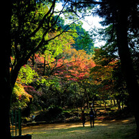 SONY(ソニー)のレンズ FE 16-35mm F2.8 GM SEL1635GM で撮影した写真