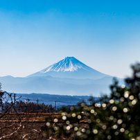 NIKON(ニコン)のレンズ AF Zoom Nikkor 70-300mm F4-5.6G (ブラック