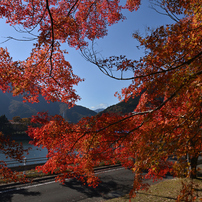 TAMRON(タムロン)のレンズ SP 15-30mm F/2.8 Di VC USD (Model A012