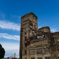 SONY(ソニー)のレンズ Vario-Sonnar T＊ DT 16-80mm F3.5-4.5 ZA