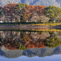 NIKON(ニコン)のレンズ NIKKOR Z 85mm f/1.8 S で撮影した写真(画像