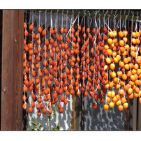 CANON(キヤノン)のデジタルカメラPowerShot SX50 HS で撮影した写真