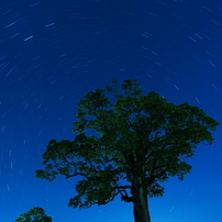 SONY(ソニー)のレンズ E 11 mm F1.8 SEL11F18 で撮影した写真(画像
