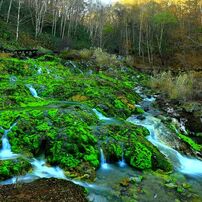 CANON(キヤノン)のレンズ EF17-40mm F4L USM で撮影した写真(画像)一覧