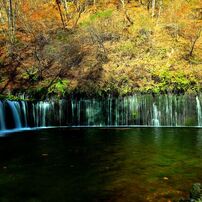 CANON(キヤノン)のレンズ EF17-40mm F4L USM で撮影した写真(画像)一覧