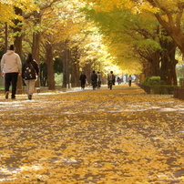 CANON(キヤノン)のレンズ EF-S55-250mm F4-5.6 IS STM で撮影した写真