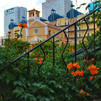 CANON(キヤノン)のデジタル一眼EOS Kiss X5 で撮影した写真(画像)一覧