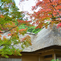 ❤️エモ写に❤️Nikon 18-200mm フィルム風描写✨ NIKON(ニコン)のレンズ AF-S DX NIKKOR 18-200mm f/3.5-5.6G ED VR II