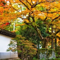 CANON(キヤノン)のデジタル一眼EOS Kiss X5 で撮影した写真(画像)一覧