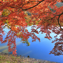 【作例あり】風景から人物をこれ1本♪Nikon AF-S 18-140mm VR ニコン AF-S DX NIKKOR 18-140mm f/3.5-5.6G ED VRで撮影された写真