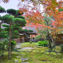 美品/作例] Sigma AF 17-50mm f2.8 EX DC OS SIGMA（シグマ） 17-50mm