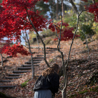 NIKON(ニコン)のレンズ AF-S NIKKOR 85mm f/1.8G で撮影した写真(画像