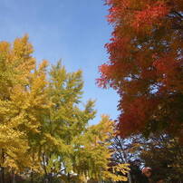 FUJIFILM(富士フイルム)のデジタルカメラFinePix Z3 で撮影した写真