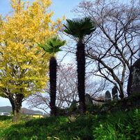 ♥️新品♥️Z300 黒色★富士フイルム★箱付き★動作品 ヨドバシ.com - 富士フイルム FUJIFILM FinePix Z300 [ブラック] 通販