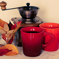 PANASONIC(パナソニック)のレンズ LEICA DG MACRO-ELMARIT 45mm/F2.8