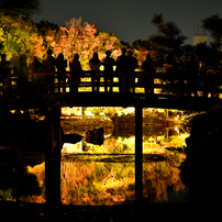 風景写真 NIKON(ニコン)のレンズ NIKKOR Z 28-135mm f/4 PZ で撮影した写真(画像