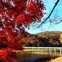 【訳あり】SONY Cyber-shot DSC-WX1 コンデジ 作例有 訳あり】SONY Cyber-shot DSC-WX1 コンデジ 作例有