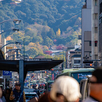 SIGMA(シグマ)のレンズ 18-250mm F3.5-6.3 DC MACRO HSM [ペンタックス