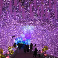 CANON(キヤノン)のデジタルカメラIXY 650 で撮影した写真(画像)一覧