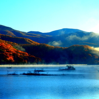 CANON(キヤノン)のレンズ EF17-40mm F4L USM で撮影した写真(画像)一覧
