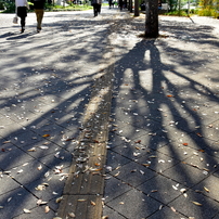 NIKON(ニコン)のレンズ AF-S DX NIKKOR 18-140mm f/3.5-5.6G ED VR で