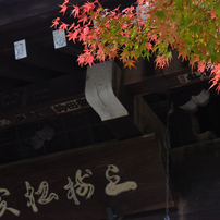 [良品/作例有] Nikon AF Micro Nikkor 55mm f2.8 ニコン『AI Micro-Nikkor 55mm f/2.8S』作例 | smart tutor