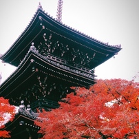 OLYMPUS(オリンパス)のレンズ M.ZUIKO DIGITAL ED 14-150mm F4.0-5.6