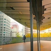 最近のトレンド入り(20枚）