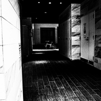 RICOH(リコー)のデジタルカメラGR DIGITAL IV で撮影した写真(画像