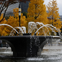 NIKON(ニコン)のレンズ AF-S DX NIKKOR 18-55mm f/3.5-5.6G VR で撮影