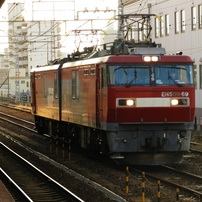 NIKON(ニコン)のデジタルカメラCOOLPIX P500 で撮影した写真(画像)一覧