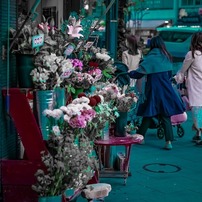 SIGMA(シグマ)のレンズ 65mm F2 DG DN [ソニーE用] で撮影した写真