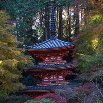 PENTAX(ペンタックス)のレンズ SMC PENTAX-DA ズーム 16-45mm F4 ED AL