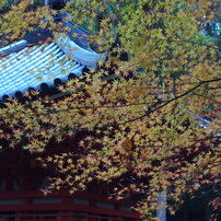 PENTAX(ペンタックス)のレンズ SMC PENTAX-DA ズーム 16-45mm F4 ED AL