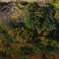 PENTAX(ペンタックス)のレンズ smc PENTAX-DA 55-300mm F4-5.8ED で