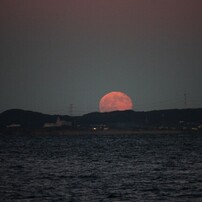 CANON(キヤノン)のデジタル一眼EOS Kiss X2 で撮影した写真(画像)一覧