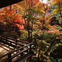 CANON(キヤノン)のレンズ EF-S10-18mm F4.5-5.6 IS STM で撮影した写真