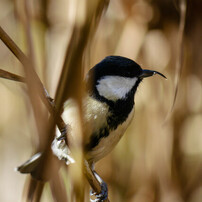 晩秋から初冬へ