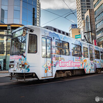 ミク、今シーズンも綺麗だね