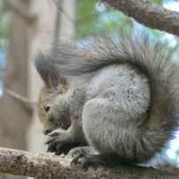 PANASONIC(パナソニック)のデジタルカメラLUMIX DC-TZ90 で撮影した