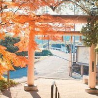 【作例あり】smc pentax67 55mm f4 PENTAX(ペンタックス)のレンズ SMC PENTAX67 55mmF4 で撮影した写真