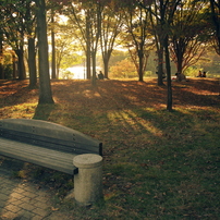 PENTAX(ペンタックス)のレンズ FAズーム20-35mmF4 AL で撮影した写真