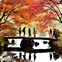 NIKON(ニコン)のレンズ AF-S DX NIKKOR 18-140mm f/3.5-5.6G ED VR で