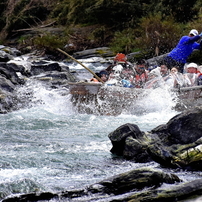 NIKON(ニコン)のレンズ AF-S DX NIKKOR 18-140mm f/3.5-5.6G ED VR で