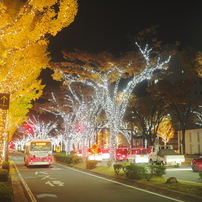 SIGMA(シグマ)のレンズ 16mm F1.4 DC DN [マイクロフォーサーズ用] で