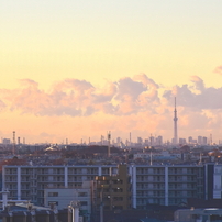 NIKON(ニコン)のレンズ AF-S DX NIKKOR 18-140mm f/3.5-5.6G ED VR で