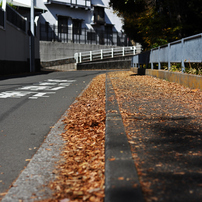 NIKON(ニコン)のデジタル一眼D7200 で撮影した写真(画像)一覧- 写真