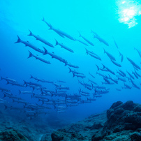 トレンド入り写真⑤