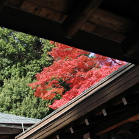 CANON(キヤノン)のデジタルカメラPowerShot Pro1 で撮影した写真(画像